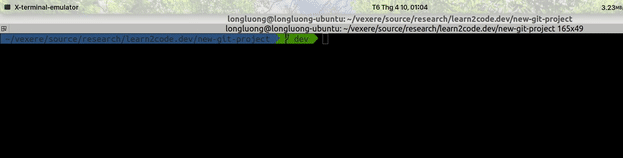 zsh terminal
